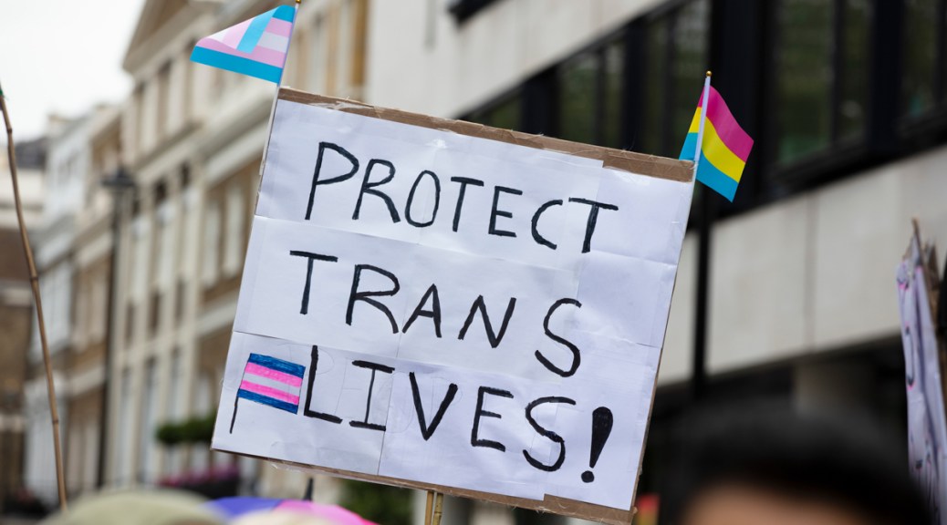 Photo depicting a person holding a sign reading "Protect trans lives!"