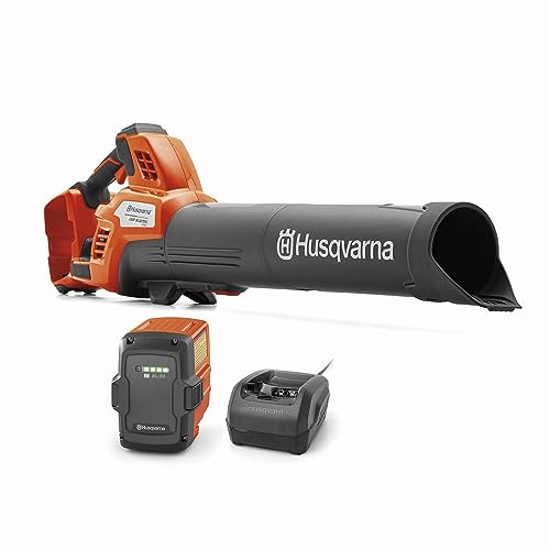 10 Best Black Friday Leaf Blower Get Early 2024 Deals & Sales