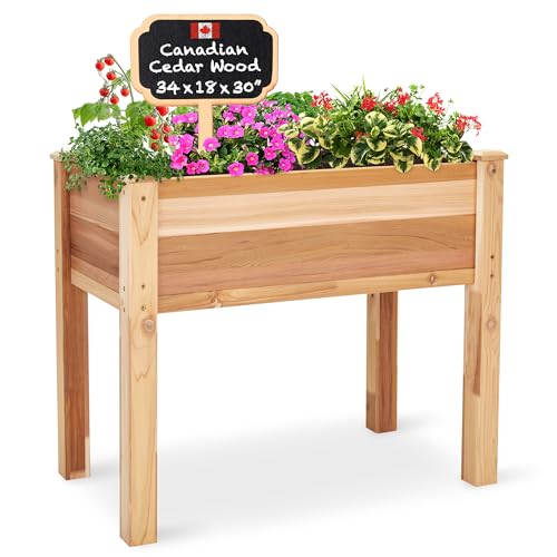 15 Best Black Friday Raised Garden Bed  2024 Deals & Sales