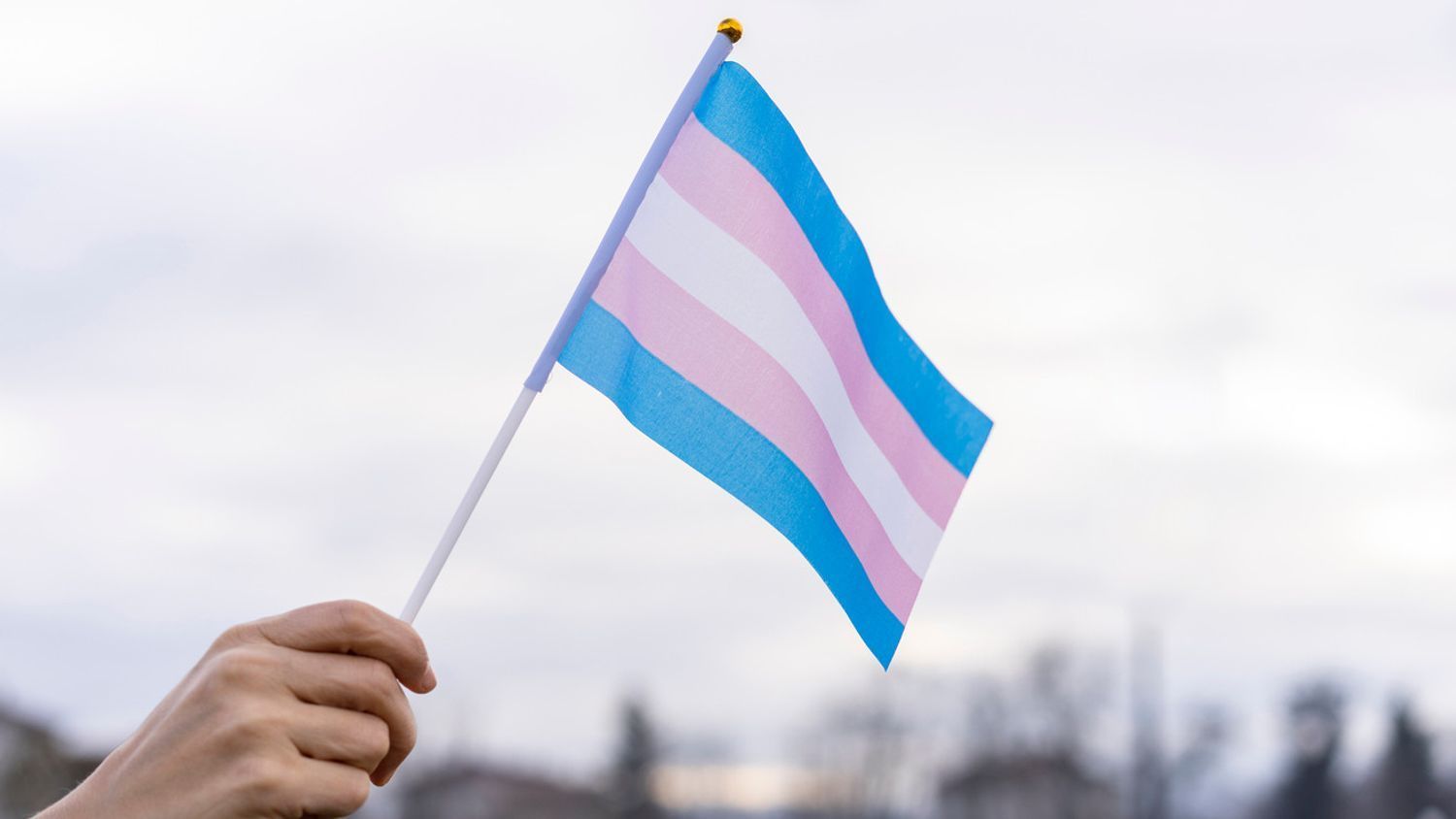 Transgender Flag (Getty)