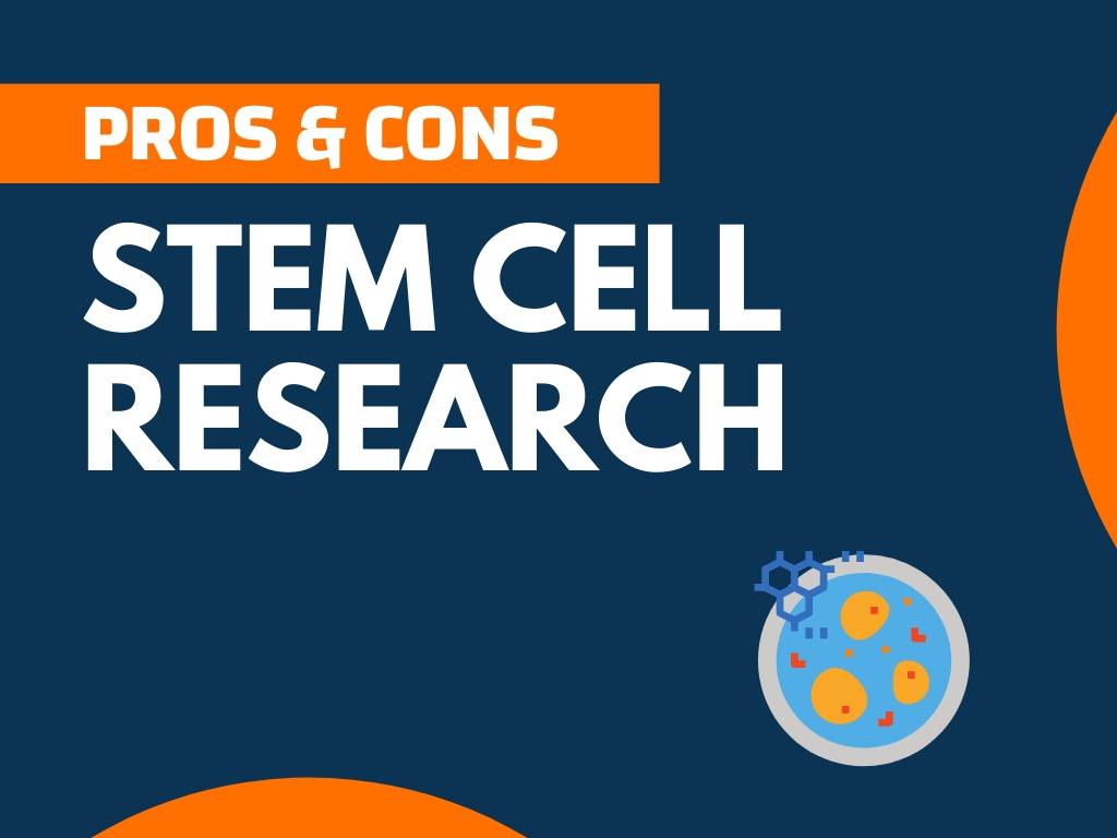 11+ Pros and Cons of Stem Cell Research (Explained)