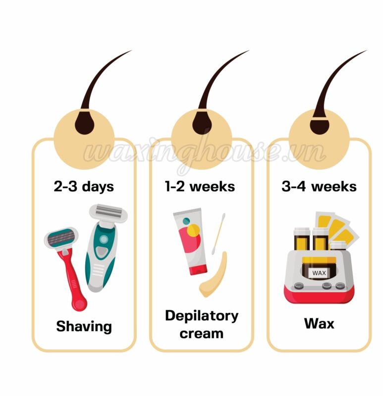 The 4-Minute Rule for Waxing Near Me