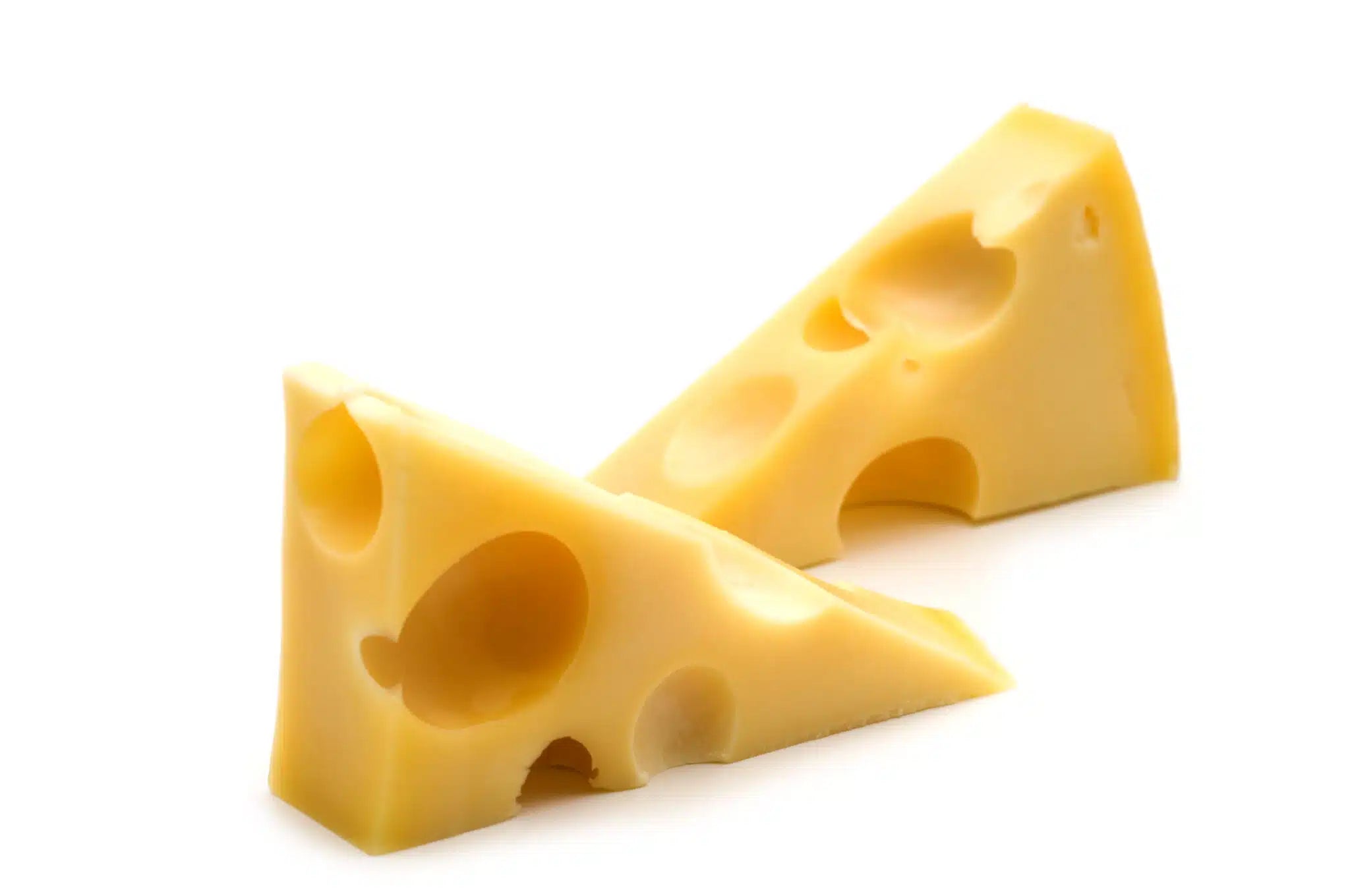 two cheese on white background