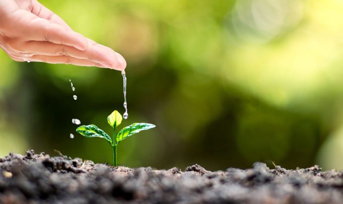 Smart soil: Grow more crops with less water