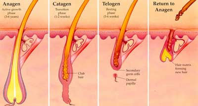 Expert Waxing Solutions: Smooth and Resilient Outcomes