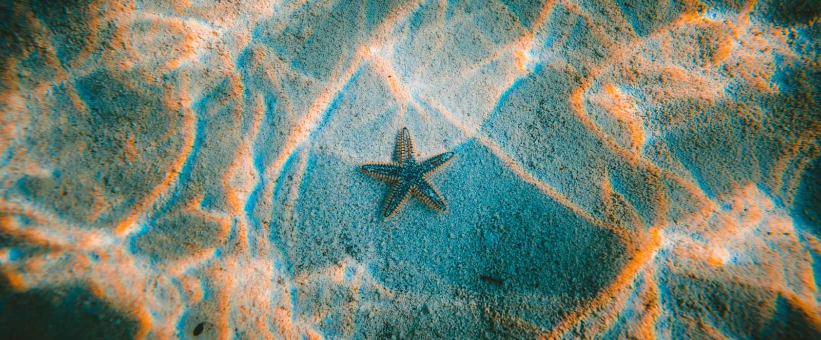 An Unbiased View of bikini waxing near me