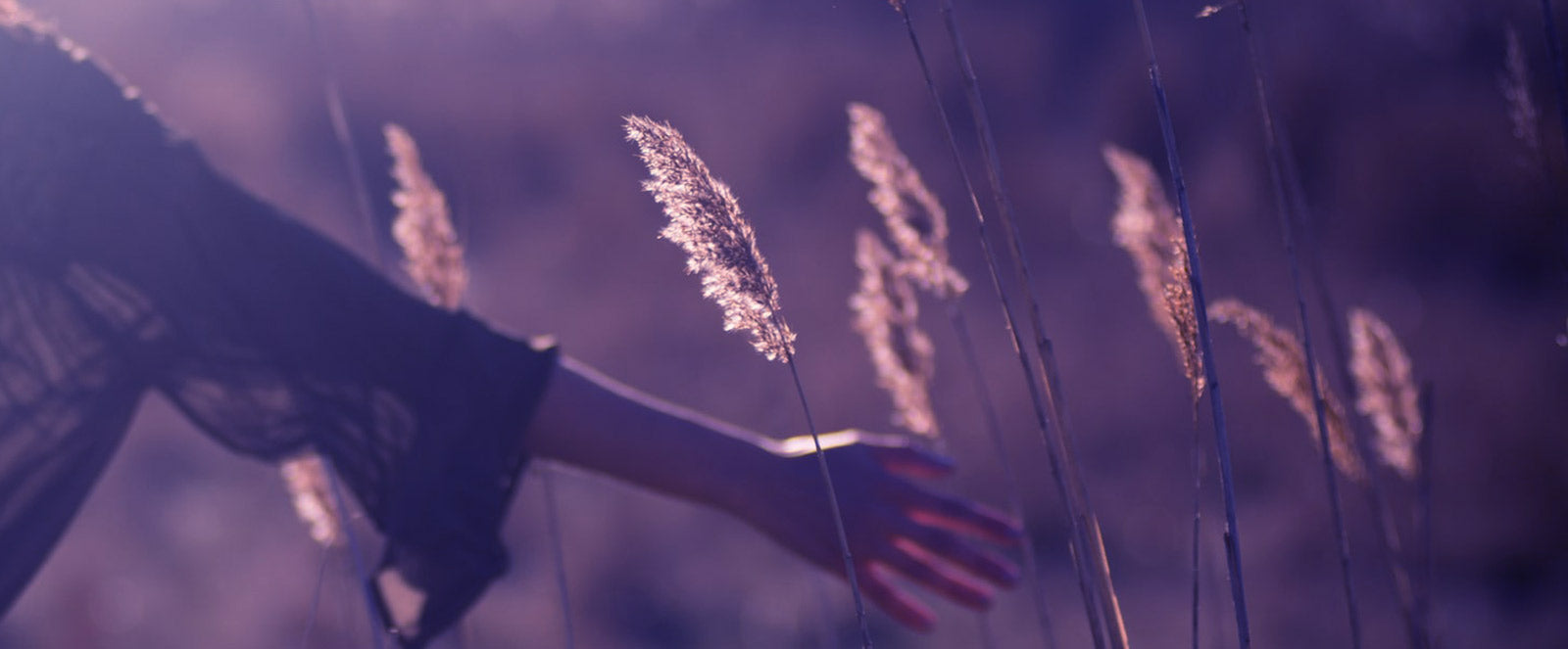 Not known Details About Laser Hair Removal Raleigh Nc