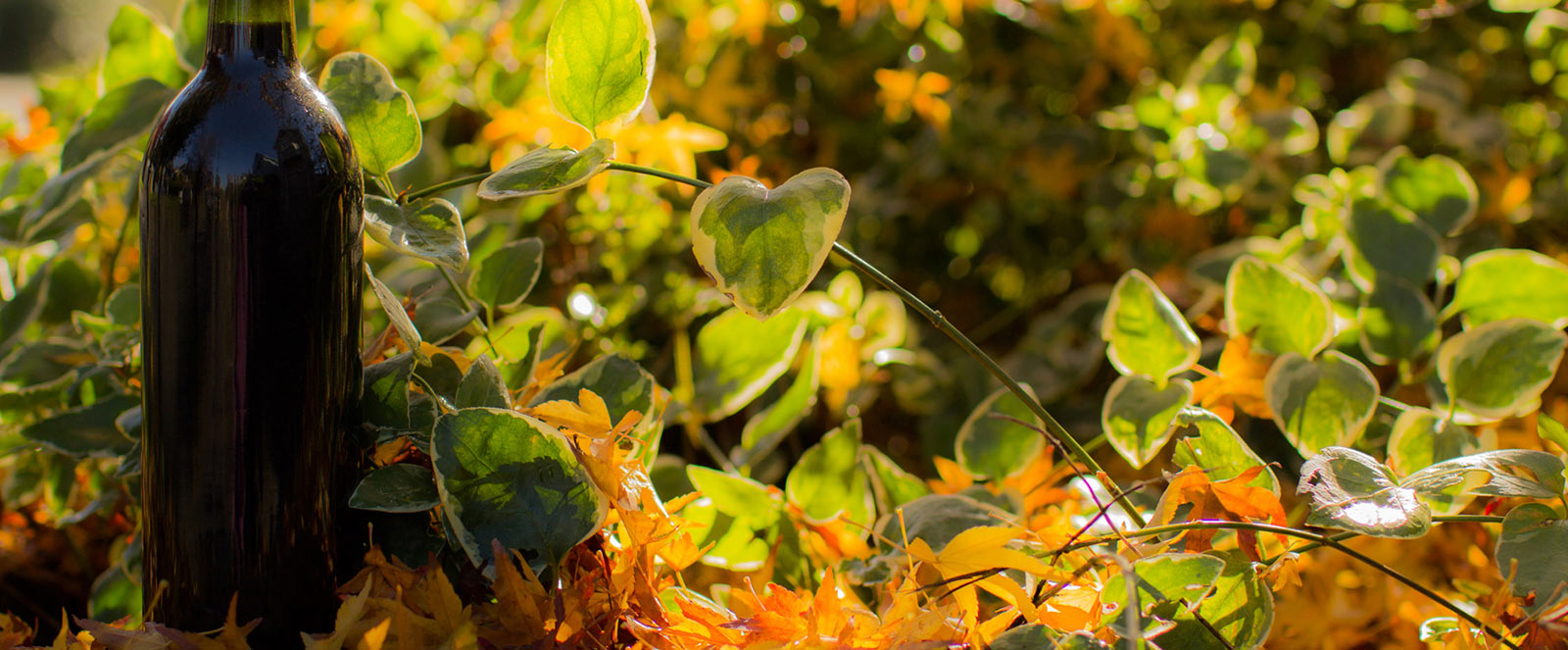 Helping The others Realize The Advantages Of bikini waxing California