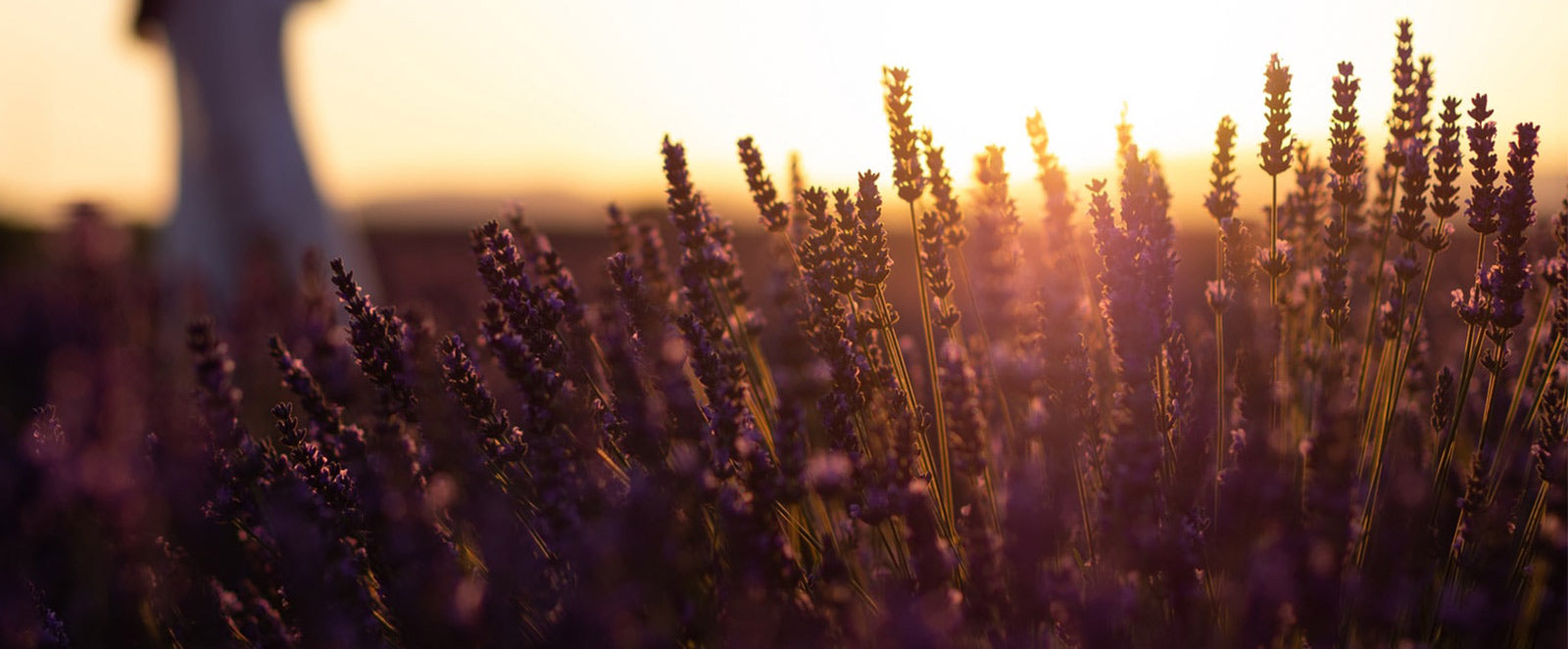 How bikini waxing near me can Save You Time, Stress, and Money.