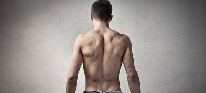 Male back and shoulders