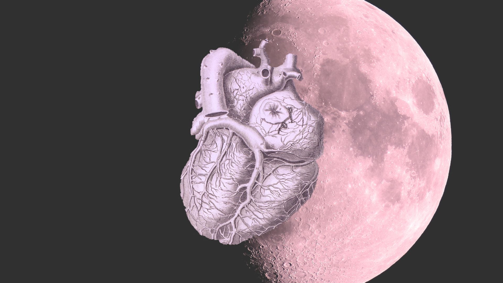 The Waxing Moon in Aquarius is here to help you hunt for your rose-colored glasses