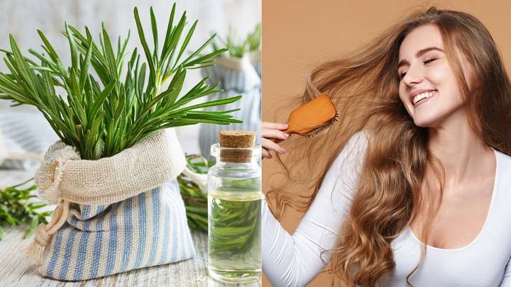 The Ultimate Guide to Rosemary Water for Hair: Benefits and How to Use It