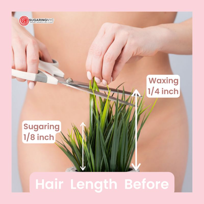 Lavishre Beauty Body Waxing